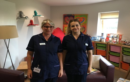 Ickle Pickles Palliative Care Nurses - Merseyside & Chester