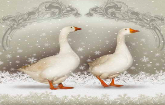 Christmas Cards - on sale now!