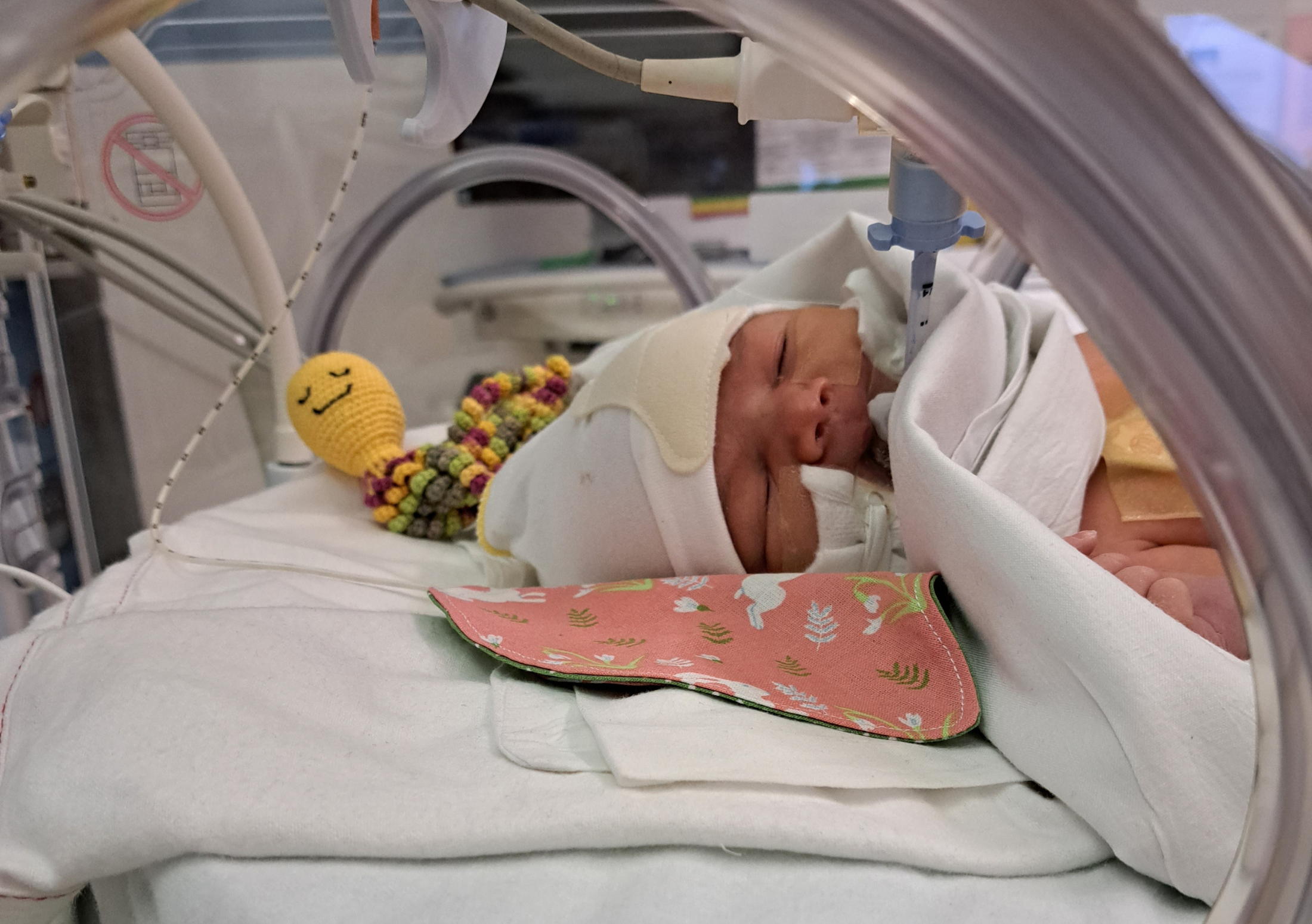 Baby Opal through an incubator hole.