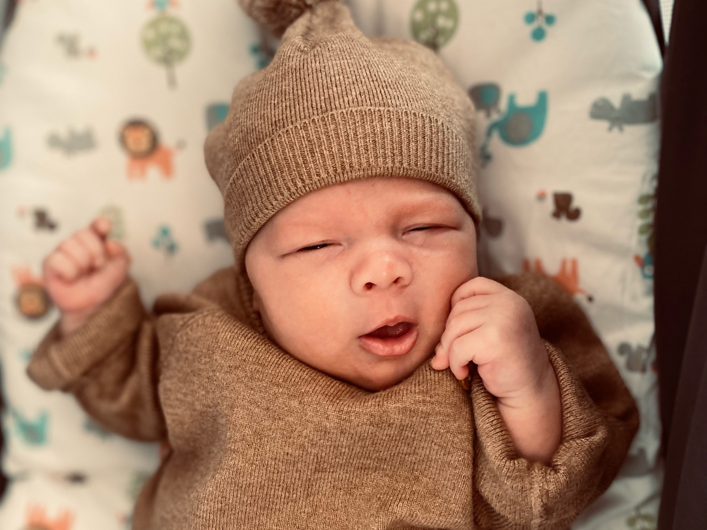 Baby Bodhi